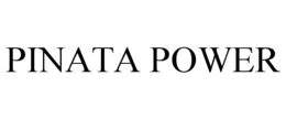 PINATA POWER trademark