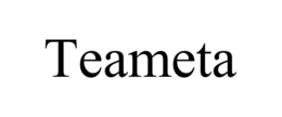 TEAMETA trademark