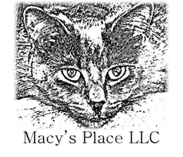 MACY'S PLACE LLC trademark