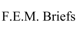F.E.M. BRIEFS trademark