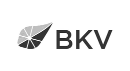 BKV trademark