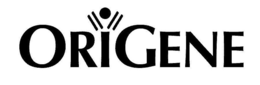 ORIGENE trademark