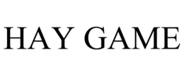 HAY GAME trademark