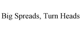 BIG SPREADS, TURN HEADS trademark