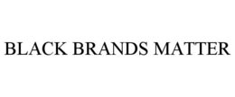 BLACK BRANDS MATTER trademark