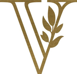 V trademark