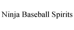 NINJA BASEBALL SPIRITS trademark