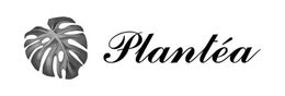 PLANTÉA trademark