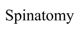 SPINATOMY trademark