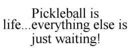 PICKLEBALL IS LIFE...EVERYTHING ELSE IS JUST WAITING! trademark