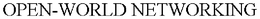 OPEN-WORLD NETWORKING trademark