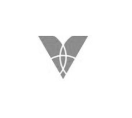 V trademark