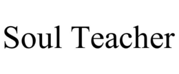 SOUL TEACHER trademark