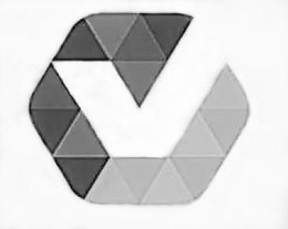 V trademark