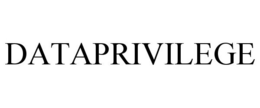DATAPRIVILEGE trademark