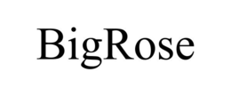 BIGROSE trademark