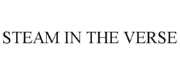 STEAM IN THE VERSE trademark