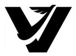 V trademark