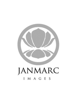 JANMARC IMAGES trademark