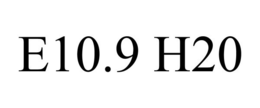 E10.9 H20 trademark