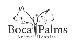 BOCA PALMS ANIMAL HOSPITAL trademark