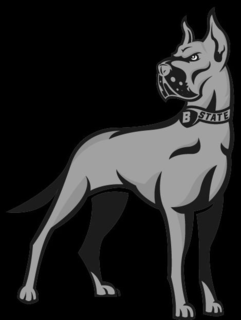 B STATE trademark