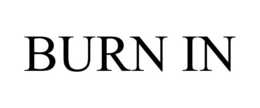 BURN IN trademark