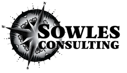 N W S SOWLES CONSULTING trademark