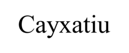 CAYXATIU trademark