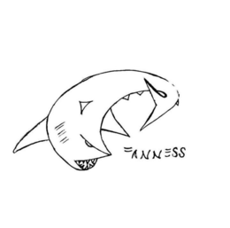 C FINNESS trademark