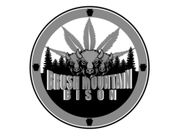 BRUSH MOUNTAIN BISON trademark
