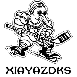 D-5 XIAYAZDKS trademark
