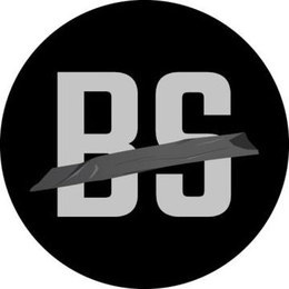 BS trademark