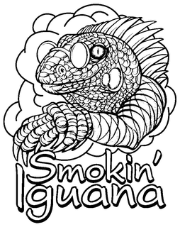 SMOKIN' IGUANA trademark