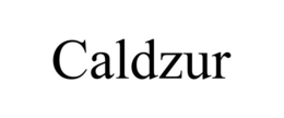 CALDZUR trademark