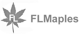 FL FLMAPLES trademark