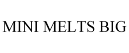 MINI MELTS BIG trademark