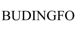 BUDINGFO trademark