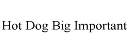 HOT DOG BIG IMPORTANT trademark