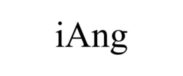 IANG trademark