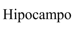 HIPOCAMPO trademark