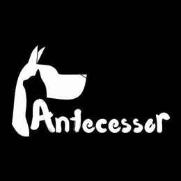 ANTECESSOR trademark