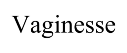 VAGINESSE trademark