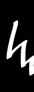 VV trademark