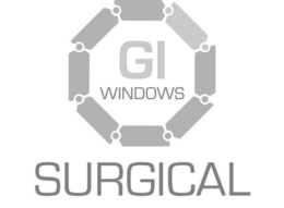 GI WINDOWS SURGICAL trademark
