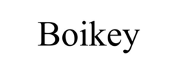 BOIKEY trademark