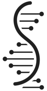S trademark