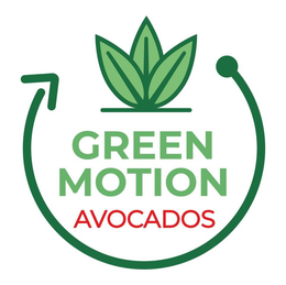 GREEN MOTION AVOCADOS trademark