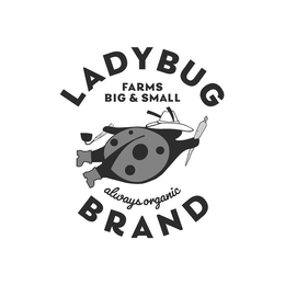 LADYBUG BRAND FARMS BIG & SMALL ALWAYS ORGANIC trademark