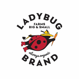 LADYBUG BRAND FARMS BIG & SMALL ALWAYS ORGANIC trademark